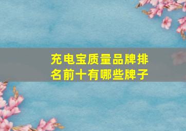 充电宝质量品牌排名前十有哪些牌子