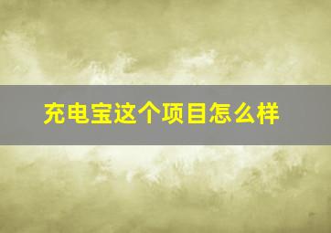 充电宝这个项目怎么样