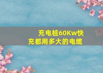 充电桩60Kw快充都用多大的电缆