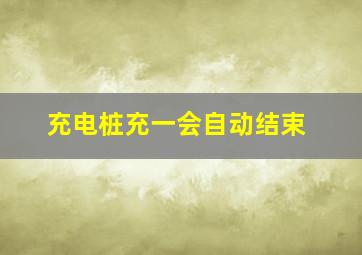 充电桩充一会自动结束