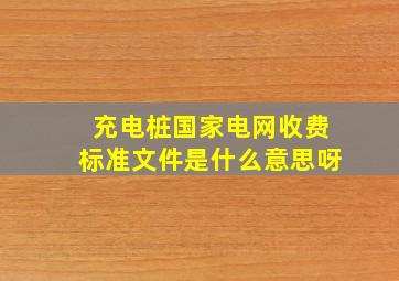 充电桩国家电网收费标准文件是什么意思呀