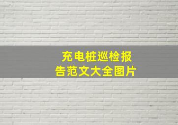 充电桩巡检报告范文大全图片