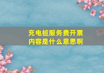 充电桩服务费开票内容是什么意思啊