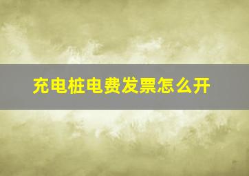 充电桩电费发票怎么开