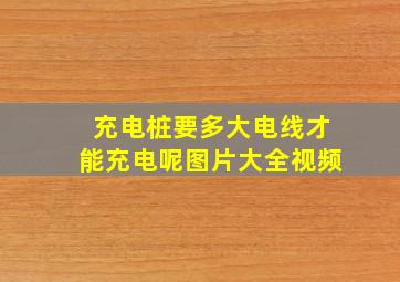 充电桩要多大电线才能充电呢图片大全视频