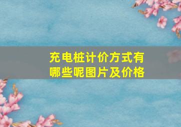 充电桩计价方式有哪些呢图片及价格