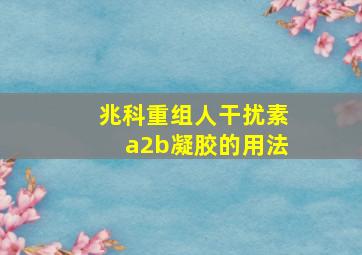 兆科重组人干扰素a2b凝胶的用法