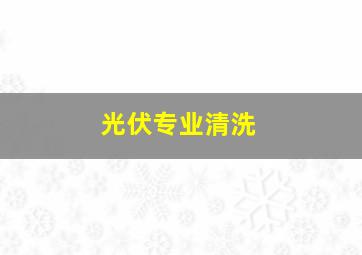 光伏专业清洗