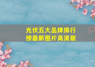 光伏五大品牌排行榜最新图片高清版