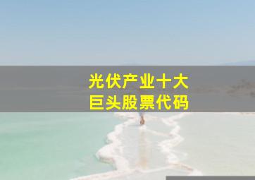 光伏产业十大巨头股票代码