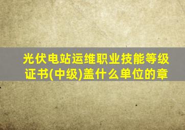 光伏电站运维职业技能等级证书(中级)盖什么单位的章