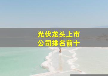 光伏龙头上市公司排名前十