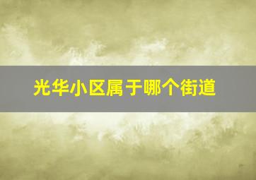 光华小区属于哪个街道