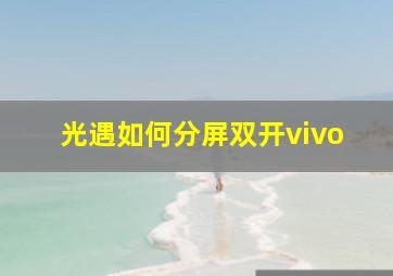 光遇如何分屏双开vivo