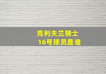 克利夫兰骑士16号球员是谁