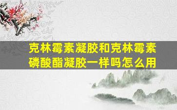 克林霉素凝胶和克林霉素磷酸酯凝胶一样吗怎么用