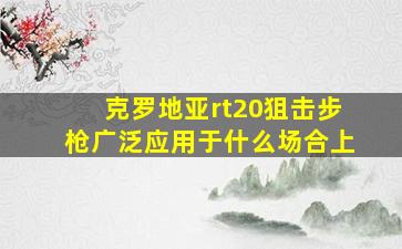 克罗地亚rt20狙击步枪广泛应用于什么场合上