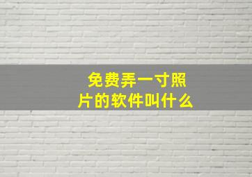 免费弄一寸照片的软件叫什么