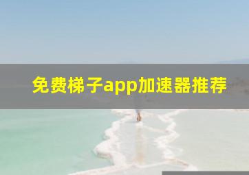 免费梯子app加速器推荐