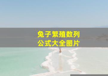 兔子繁殖数列公式大全图片