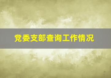 党委支部查询工作情况