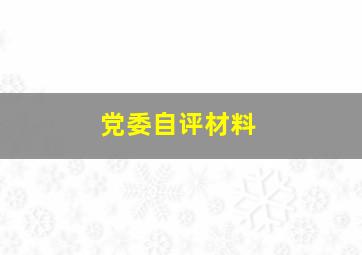 党委自评材料