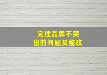 党建品牌不突出的问题及整改