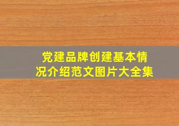 党建品牌创建基本情况介绍范文图片大全集