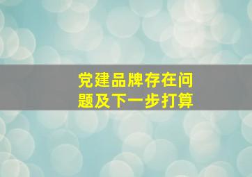 党建品牌存在问题及下一步打算