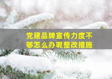 党建品牌宣传力度不够怎么办呢整改措施