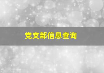 党支部信息查询