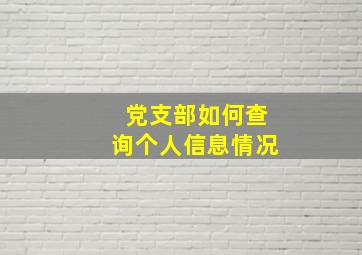 党支部如何查询个人信息情况