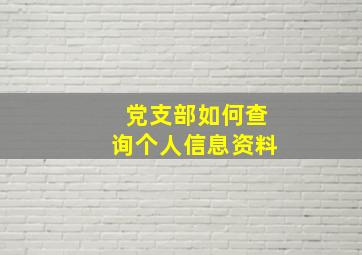 党支部如何查询个人信息资料