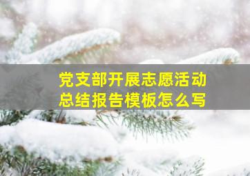 党支部开展志愿活动总结报告模板怎么写