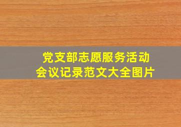 党支部志愿服务活动会议记录范文大全图片