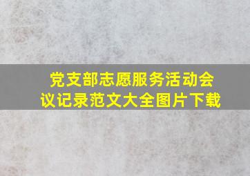 党支部志愿服务活动会议记录范文大全图片下载