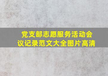 党支部志愿服务活动会议记录范文大全图片高清