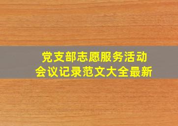 党支部志愿服务活动会议记录范文大全最新