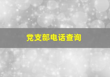 党支部电话查询