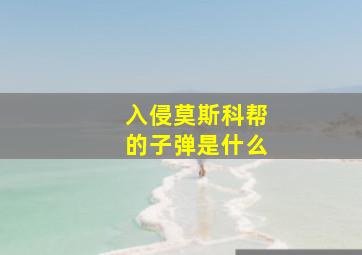 入侵莫斯科帮的子弹是什么