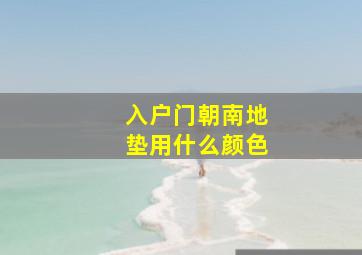 入户门朝南地垫用什么颜色