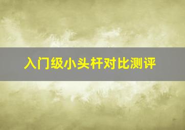 入门级小头杆对比测评