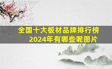 全国十大板材品牌排行榜2024年有哪些呢图片