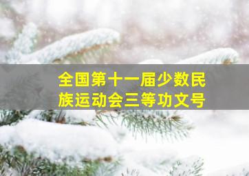 全国第十一届少数民族运动会三等功文号