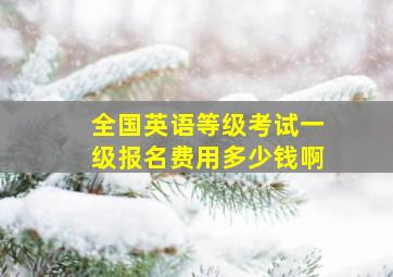 全国英语等级考试一级报名费用多少钱啊