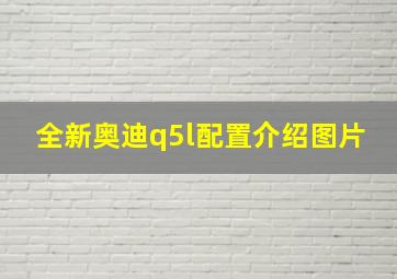 全新奥迪q5l配置介绍图片