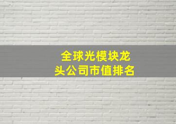 全球光模块龙头公司市值排名