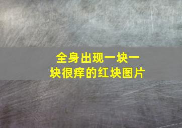 全身出现一块一块很痒的红块图片