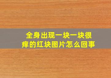 全身出现一块一块很痒的红块图片怎么回事