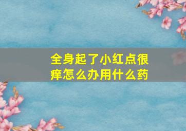 全身起了小红点很痒怎么办用什么药